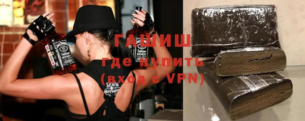 индика Покачи