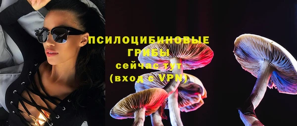 индика Покачи
