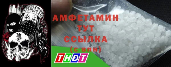 индика Покачи