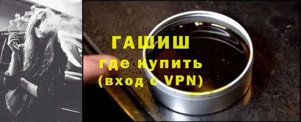 индика Покачи