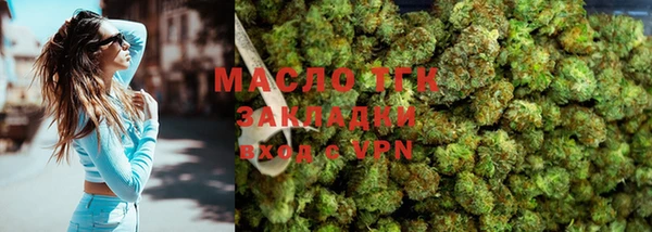 индика Покачи