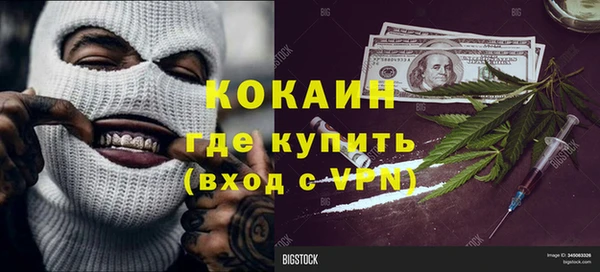 индика Покачи