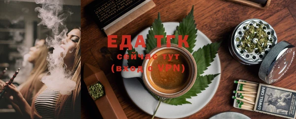 индика Покачи