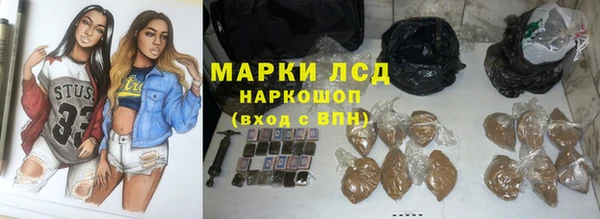 индика Покачи