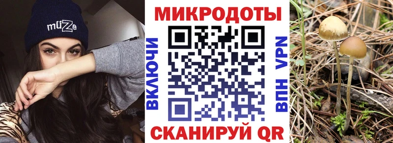 Галлюциногенные грибы мухоморы мориарти состав Родники купить сайты